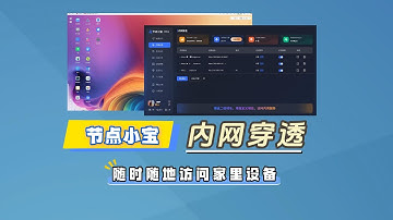 节点小宝内网穿透，飞牛Nas应用中心安装