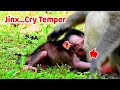 Newborn 1day old Jinx cry temper shaking body angry mom ,Jinx cry cuz mom not care let her on ground