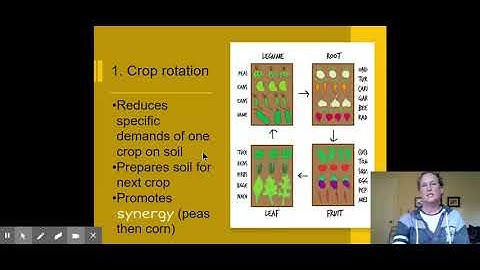 GRIFFITH-PPT 5.15 Sustainable Agriculture 2020 - Google Slides