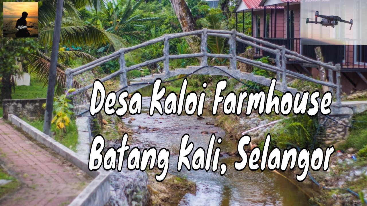 Desa Kaloi Farmhouse Batang Kali Selangor Youtube