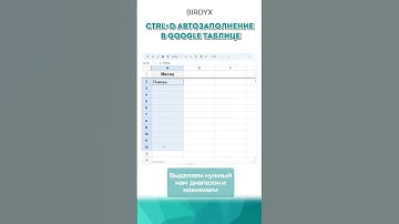 🤖 CNTRL + D  автозаполнение в Google таблицах #googlesheets #googleтаблицы #гуглтаблицы #birdyx