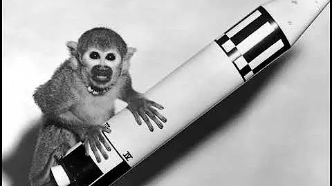 Animals in space | Wikipedia audio article