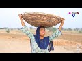Ramzi Funny Video 2025 Ramzi Ramzi Funny Video 2025 Ramzi