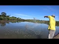 pescando camarones de criadero con atarraya en el golfo de Fonseca la unión el Salvador