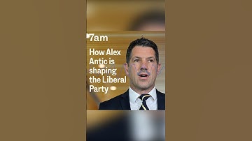 ‘A very dangerous man’: How Alex Antic is shaping the Liberals | 7am