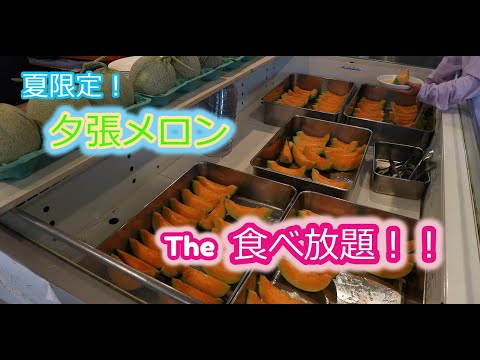 【北海道グルメ】夏限定 夕張メロン the食べ放題!!【北海道観光】