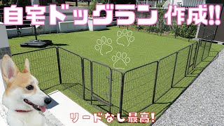 mqdefault.jpg