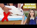 5 Things to AVOID if you have a PET RABBIT 🚩