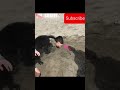 #funny #failsarmy #funnymeme #failclips #fails #laughmeme #clips #meme #laugh #hilarious #enjoy