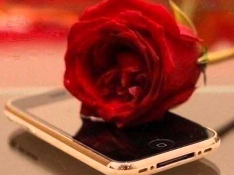 كمل جميلك ياجوالي