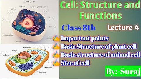 Cell Structure and Functions/Full Chapter Class 8 Science /NCERT Science Class 8/ Science By Suraj