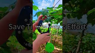 This Vineyard Tool Saves Hours of Work