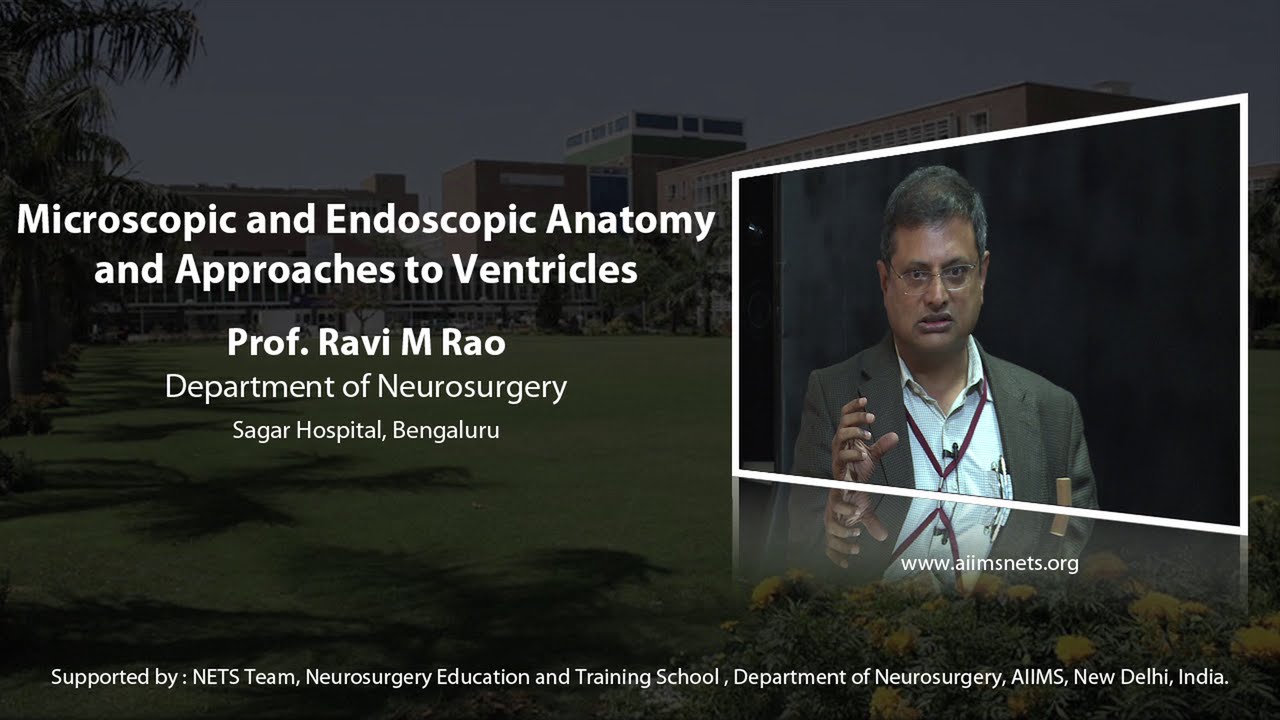 Microsurgical and endoscopic anatomy and approaches to ventricles YouTube