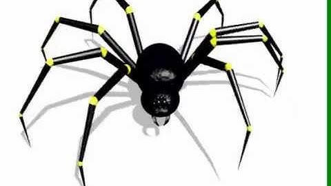 CGI Spider