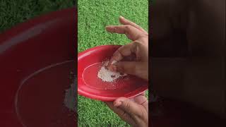 फ्री की चीज से पौधा होगा हरा-भरा + फूलों से भरपूर 🌿 #PlantCare #GardeningTips #PlantFertilizer