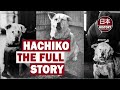 Hachiko The Full Story of a Loyal Dog: AI Colorization &amp; Real Bark.