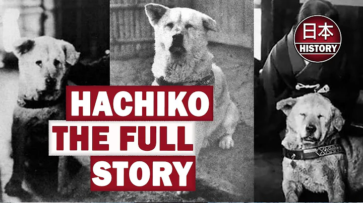 Hachiko The Full Story of a Loyal Dog: AI Colorization & Real Bark.