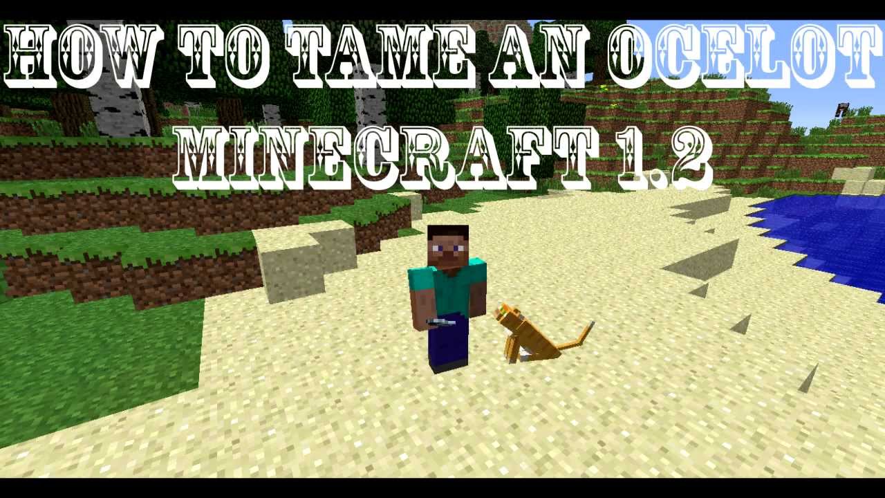 HOW TO TAME AN OCELOT IN MINECRAFT 1.2 - YouTube