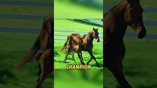 Download Lagu Trainer Buys A Short, Aggressive Horse That Everyone Gave Up On #seabiscuit #moviereview #shorts MP3