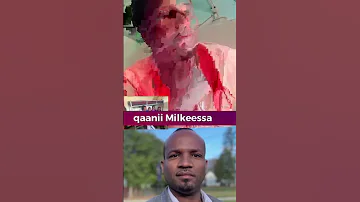 Qaanii Milkeessaa 
