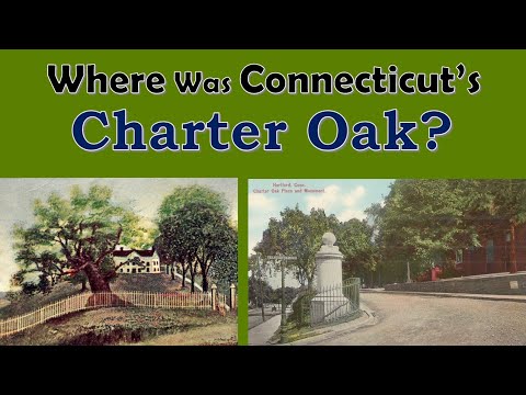 Video: Connecticut State Tree - Charter Oak & Další symboly CT