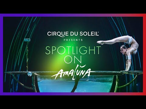 Spotlight On: Amaluna