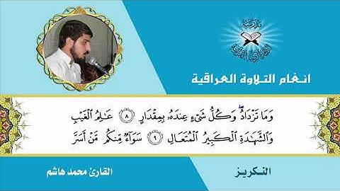 [الله يعلم ما تحمل كل أنثى وما تغيض الأرحام] مقام النكريز القارئ محمد هشام