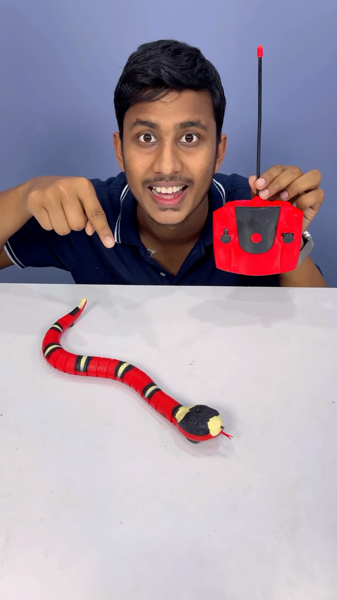 Mera RC Red Colour Snake ?