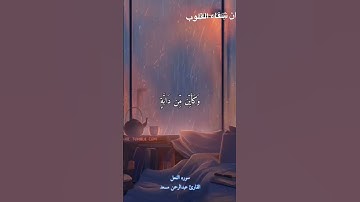الَّذِينَ صَبَرُوا وَعَلَىٰ رَبِّهِمْ يَتَوَكَّلُونَ || القارئ عبدالرحمن مسعد 🍀🎧
