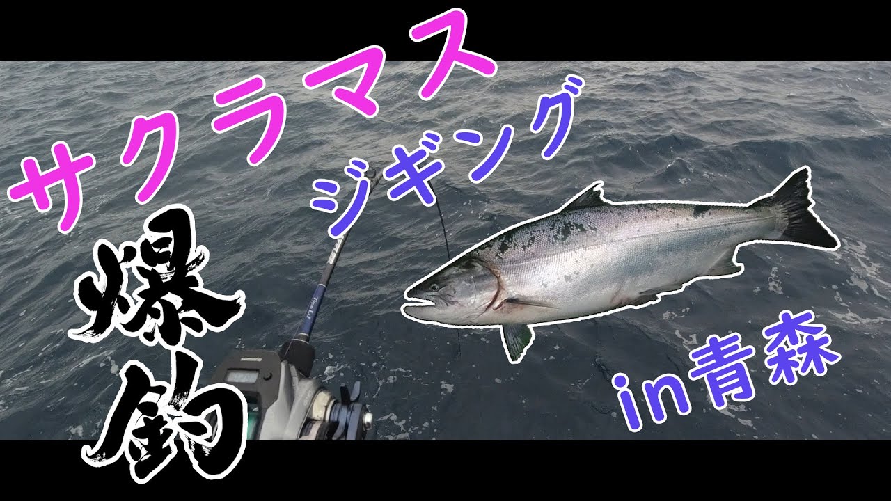 サクラマスジギング 21年３月 青森下北半島 朝日丸 Youtube