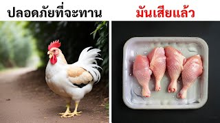 100 เคล็ดลับสู่การเรียนรู้ศิลปะแห่งการใช้ชีวิต