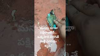 పడిపోయినా లేచి నిలబడేవాడే గెలుస్తాడు #తెలుగుమోటివేషన్ #MotivationTelugu #Nevergiveup