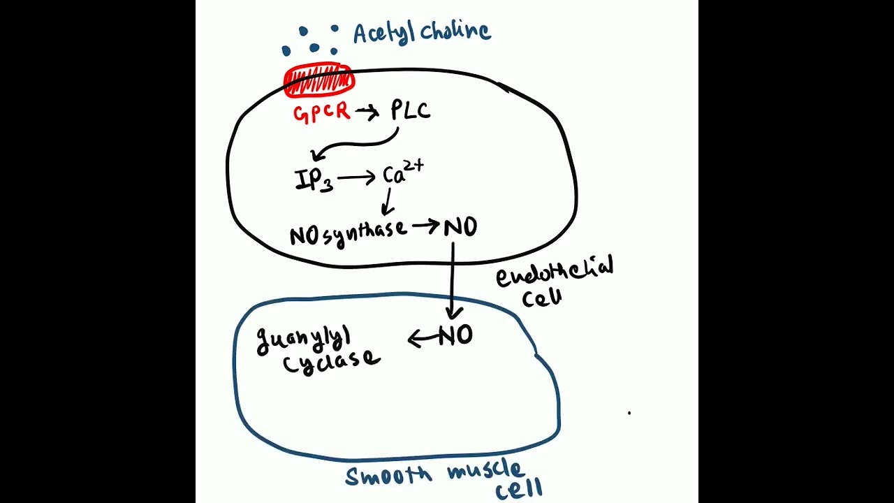 NO Signalling in 1 minute