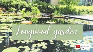 Longwood Garden in Kennett Square, Pennsylvania II Travel Vlog