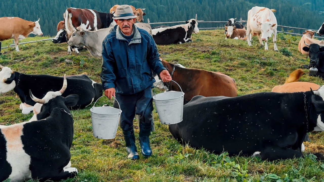 Happy Lonely Life of a Family of Shepherd Cheesemakers in an Old Mountain Village!