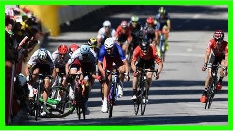 Peter sagan ends dispute with uci over tour de france disqualification