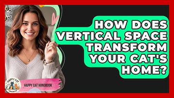 How Does Vertical Space Transform Your Cat
