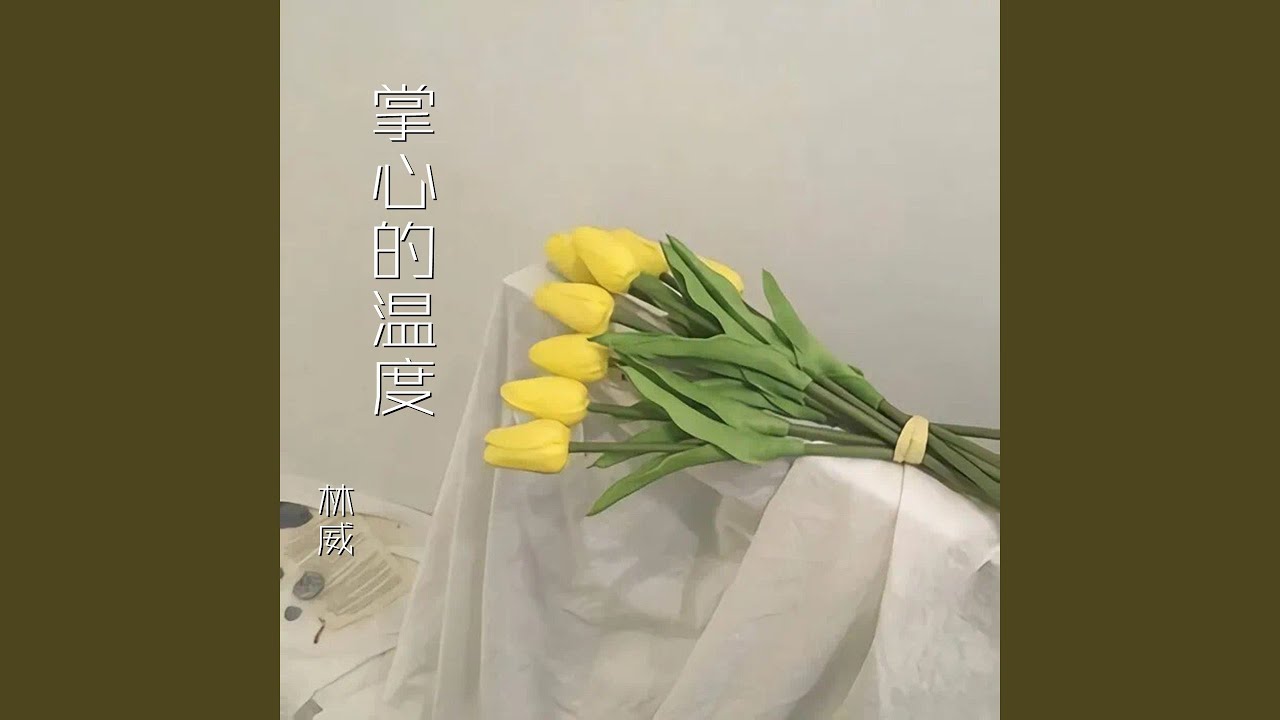 YouTubeで永不分离を視聴 YouTubeで永不分离を視聴