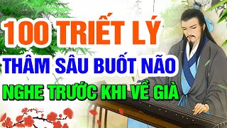 100 TRIẾT LÝ NHÂN SINH - THẤM TỪNG CÂU TỪNG CHỮ - AI CŨNG NÊN NGHE TRƯỚC KHI GIÀ | NGẪM NHÂN SINH