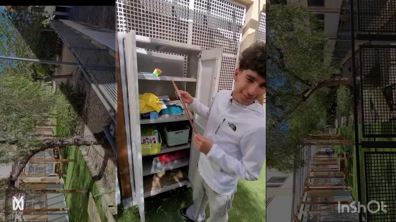 Ies Macia Abela Meeting Point