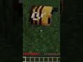 MINECRAFT MA...