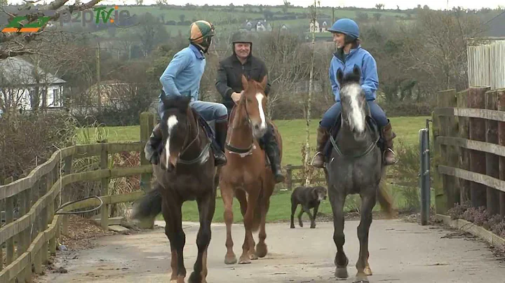 Michael Goff Stable Tour