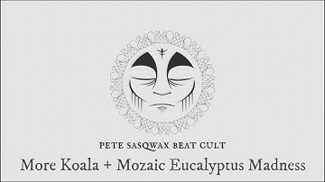 More Koala / Mozaic madness