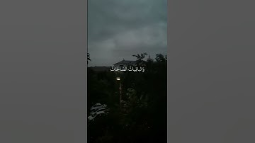 القارئ : عبد الرحمن مسعد ﴿ وَيَزِيدُ اللَّهُ الَّذِينَ اهْتَدَوْا هُدًى ۗ﴾[ مريم: 76]