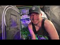 Headbanger Mother Update LIVE