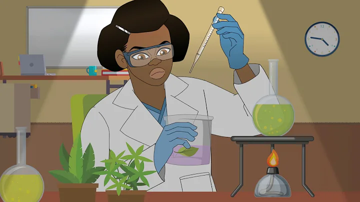 Sustainable Development Animated PSA English