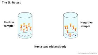 ELISA test principles Animated HD   Enzyme Linked Imunno Sorbent Assay 1080 x 1920