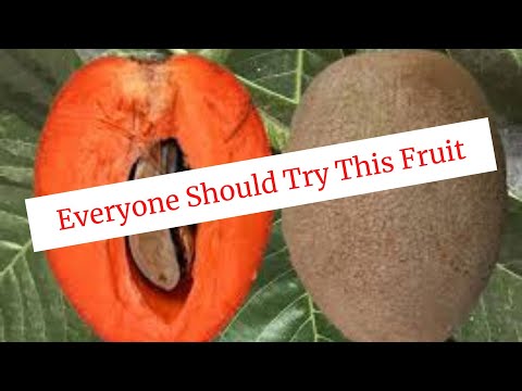 No Other Fruit Is Like This. Get This Fruit Tree, Taste This Fruit