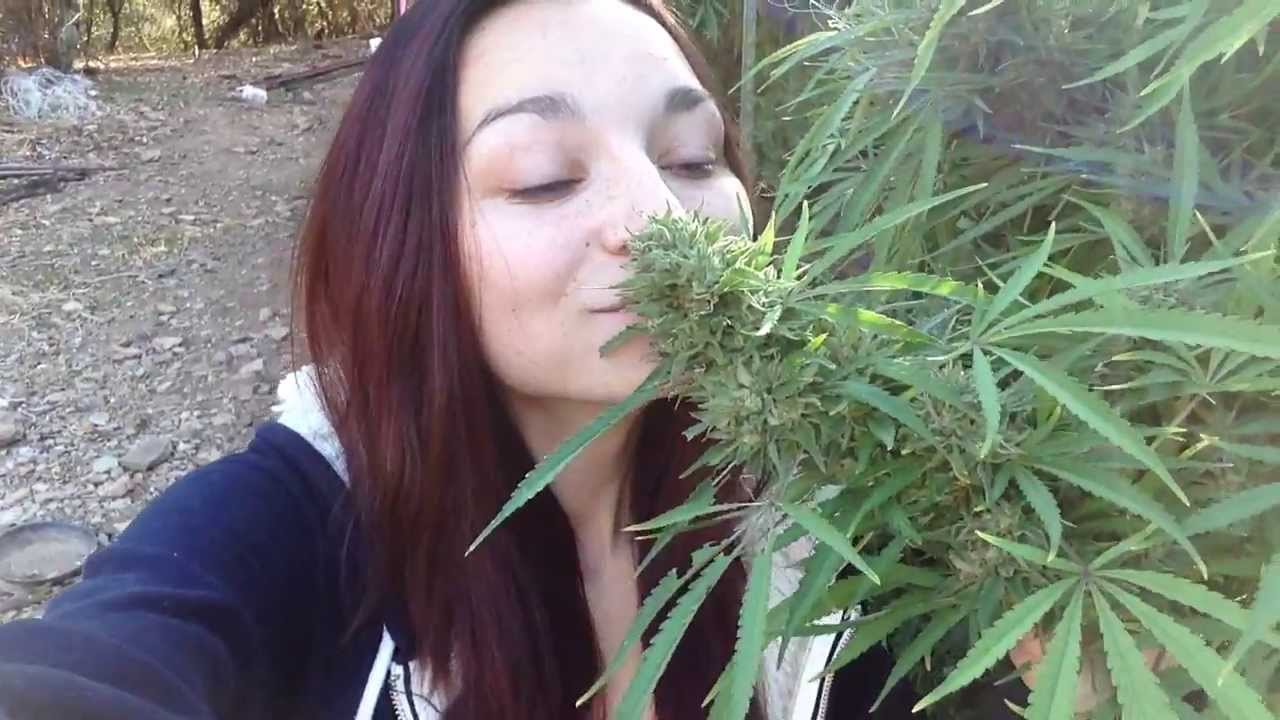 HARVEST SEASON HAS STARTED!!