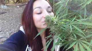 Harvest Season Has Started